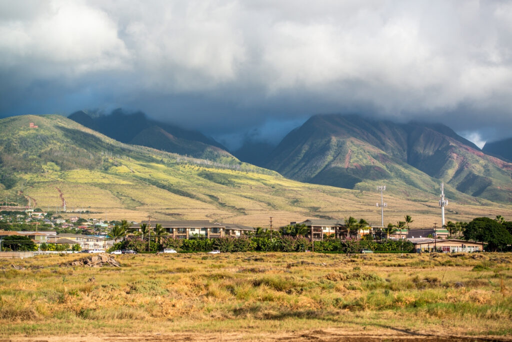 landscape of Maui