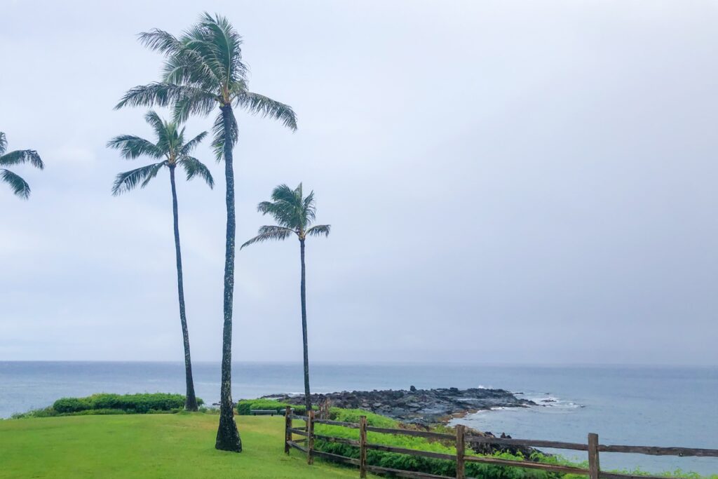 Kapalua Trail view in Maui