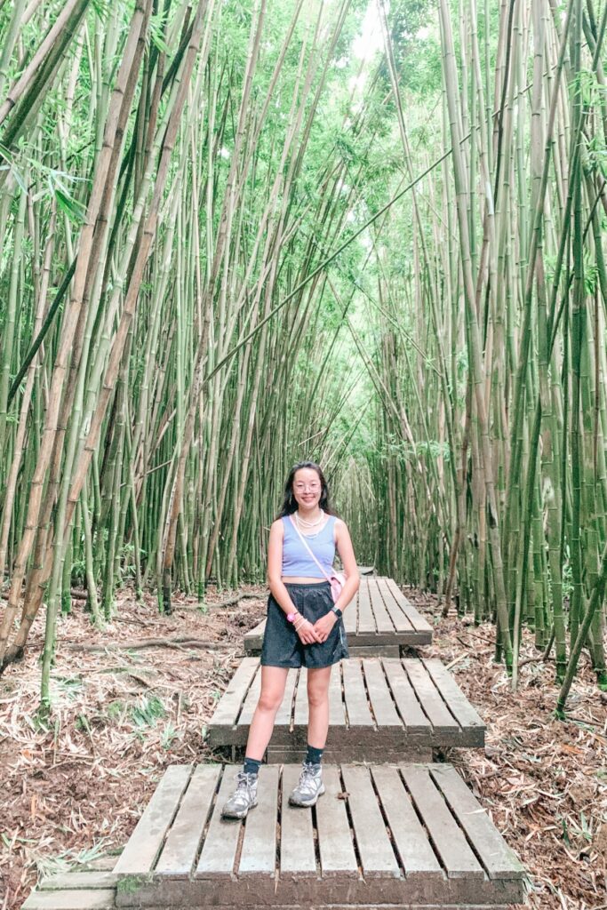 bamboo forest on the Pipiwai Trail in Hana, Maui